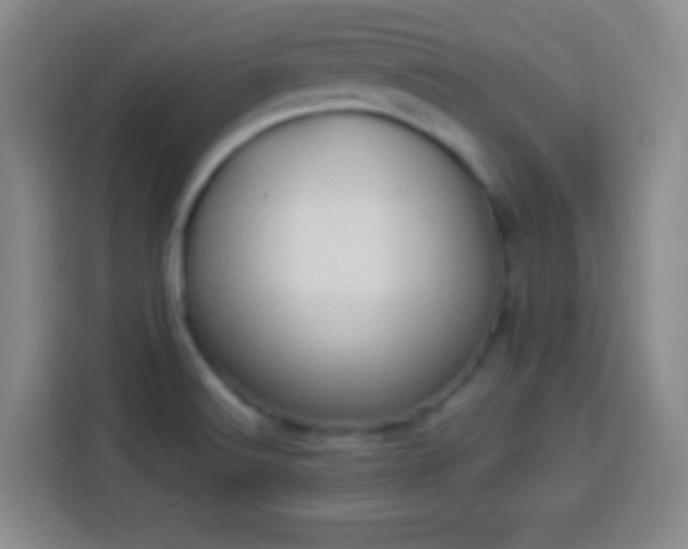 X0000113941516200910021252