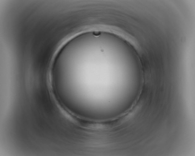 X0000113941517200910021252