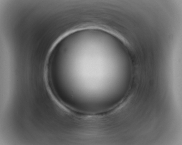 X0000113941518200910021252