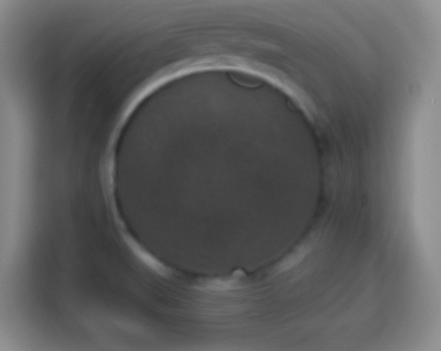 X0000113941519200910021252