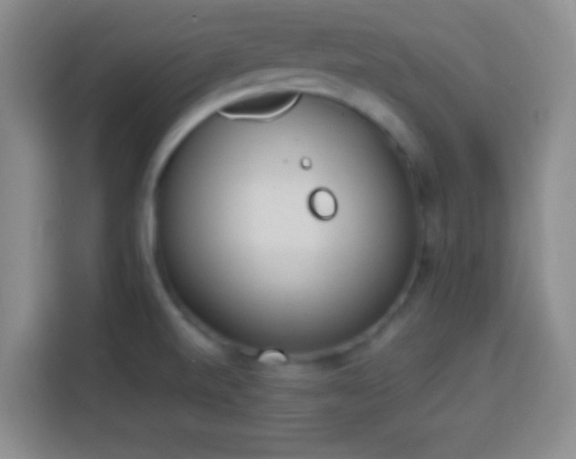 X0000113941520200910021252