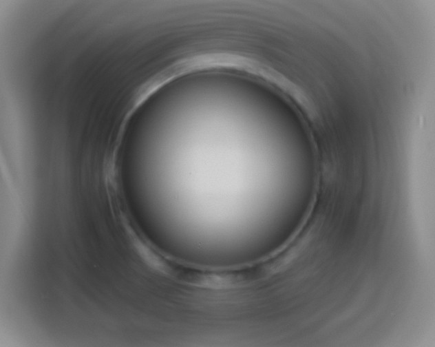 X0000113941521200910021252