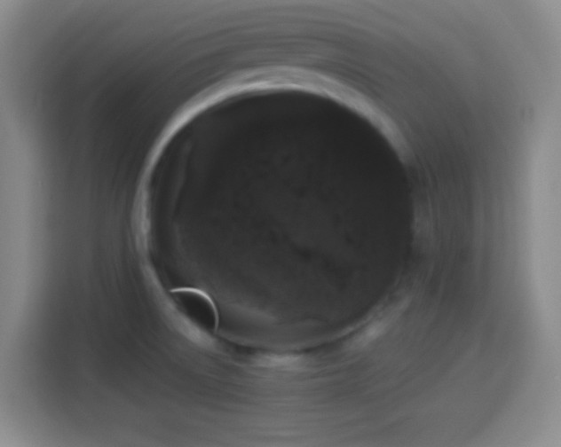 X0000113941522200910021252