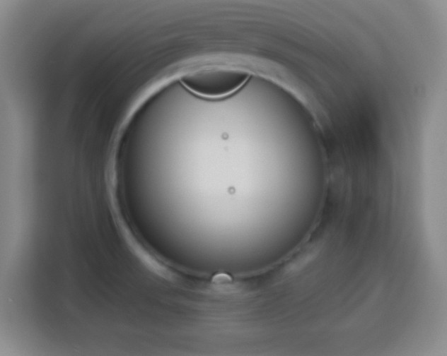 X0000113941523200910021252