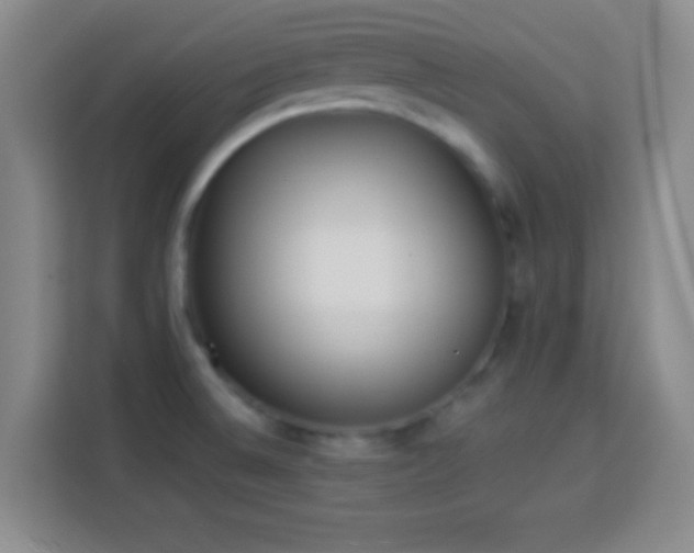 X0000113941524200910021252