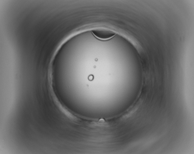 X0000113941526200910021252