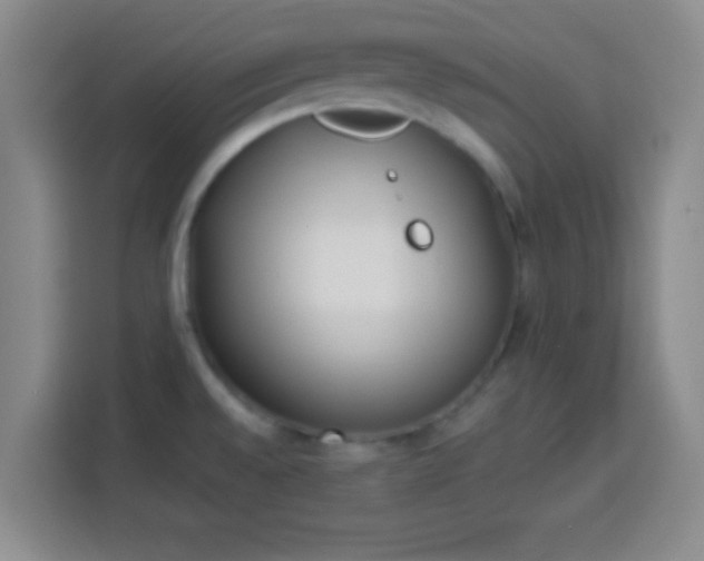 X0000113941528200910021252