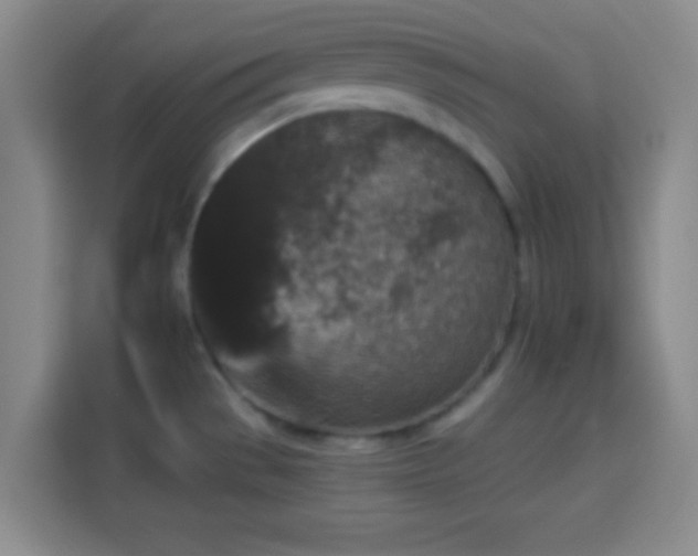 X0000113941529200910021252