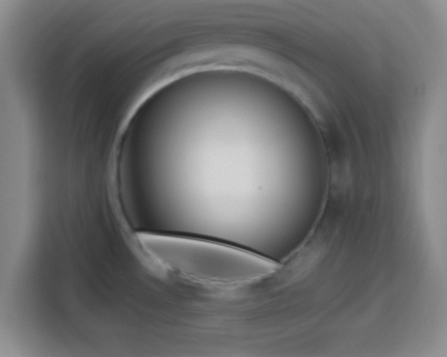 X0000113941530200910021252