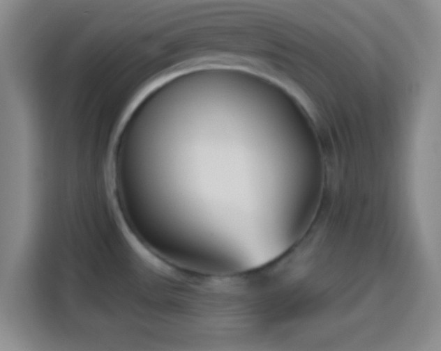 X0000113941531200910021252