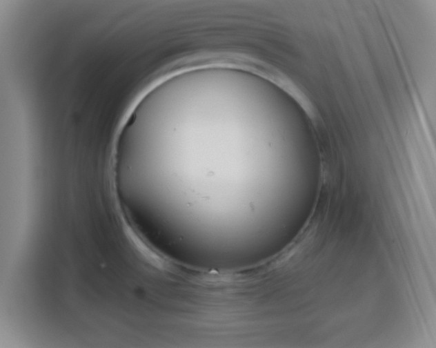 X0000113941532200910021252