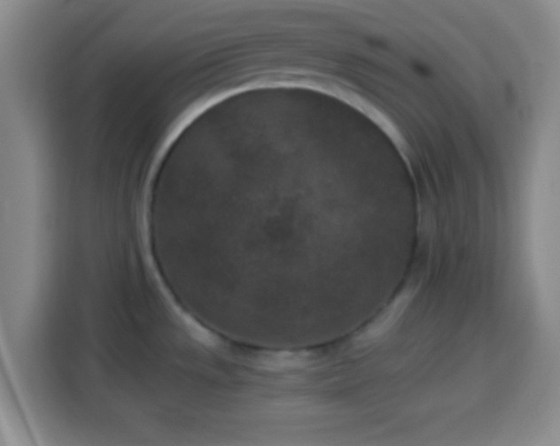 X0000113941533200910021252