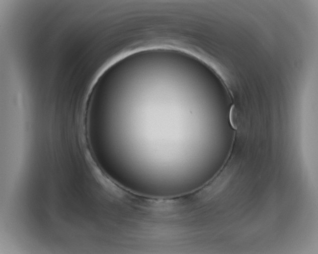 X0000113941534200910021252