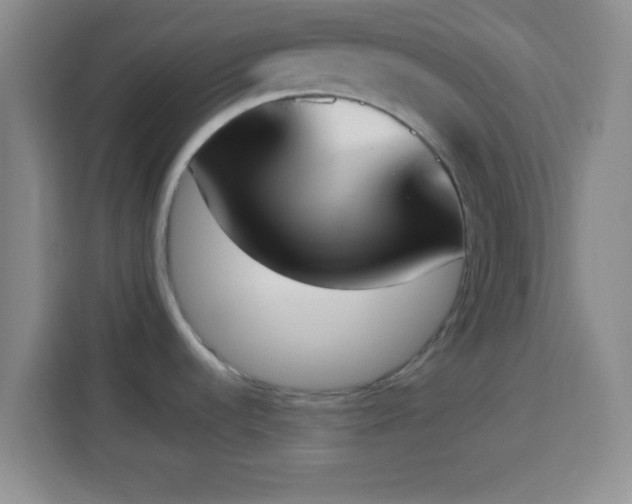 X0000113941536200910021252