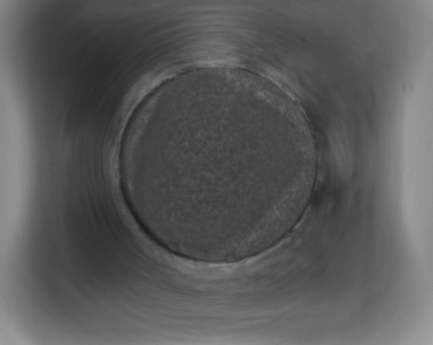 X0000113940002200910091632