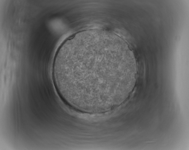 X0000113940003200910091632