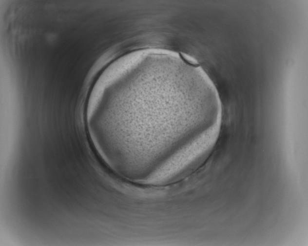 X0000113940004200910091632