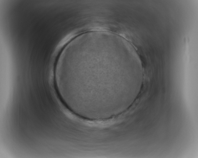 X0000113940005200910091632