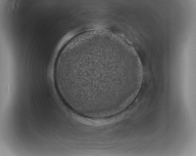 X0000113940006200910091632