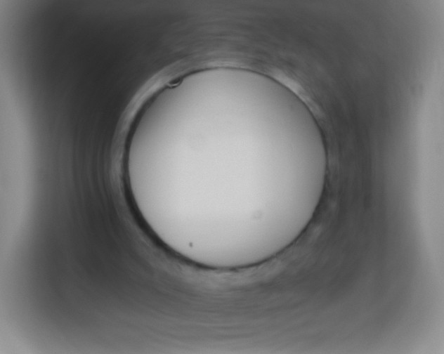 X0000113940007200910091632