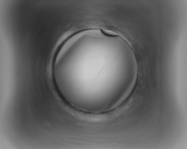 X0000113940008200910091632