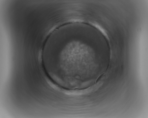 X0000113940009200910091632