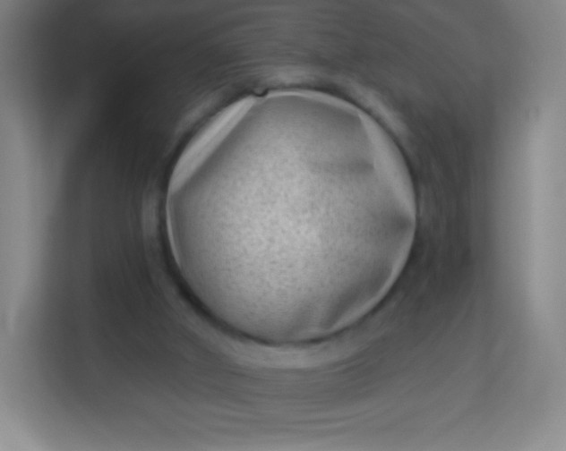 X0000113940010200910091632