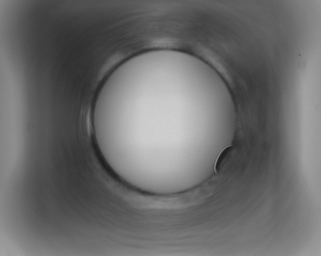 X0000113940011200910091632