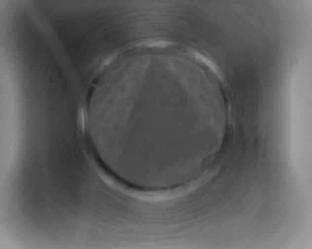 X0000113940013200910091632