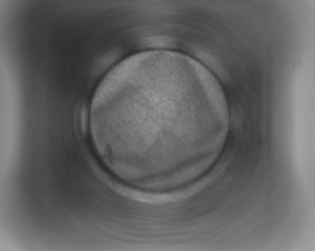 X0000113940014200910091632