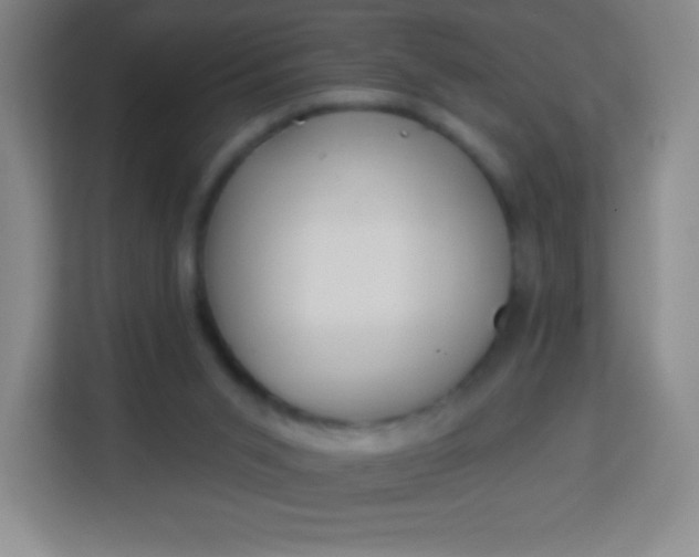 X0000113940015200910091632