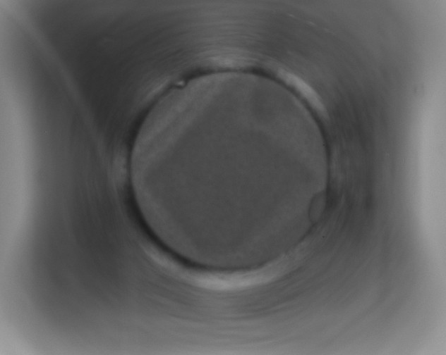 X0000113940017200910091632