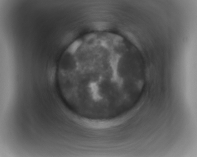 X0000113940018200910091632