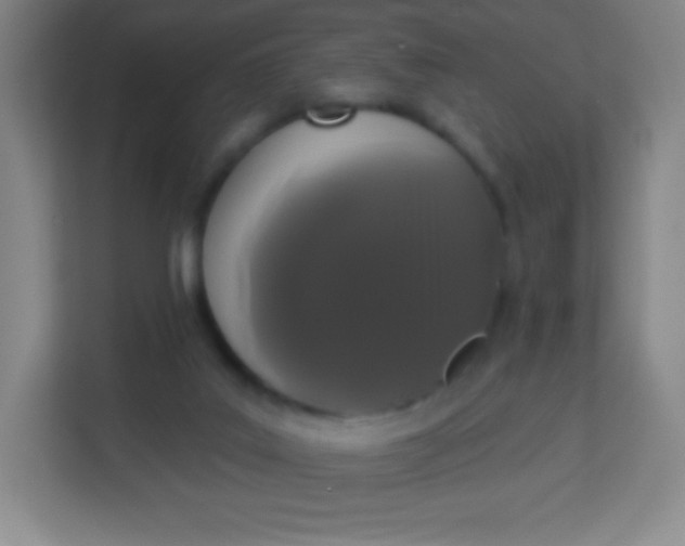 X0000113940019200910091632