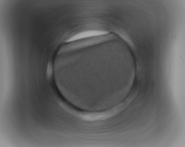 X0000113940021200910091632