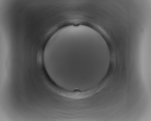 X0000113940023200910091632