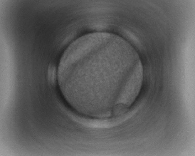 X0000113940024200910091632