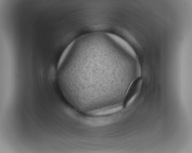 X0000113940025200910091632