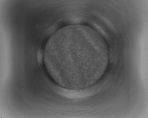 X0000113940026200910091632