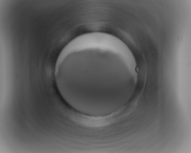 X0000113940031200910091632