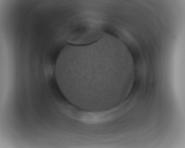 X0000113940033200910091632