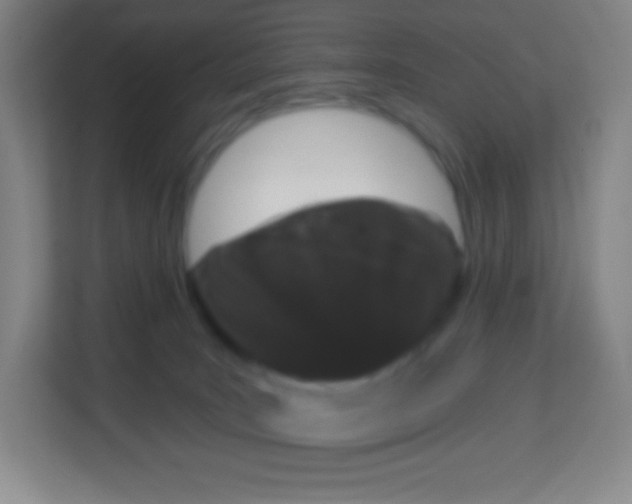 X0000113940035200910091632