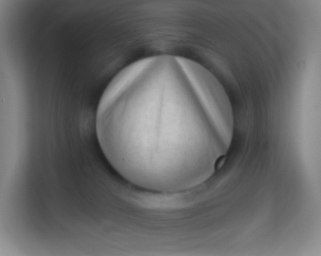 X0000113940036200910091632