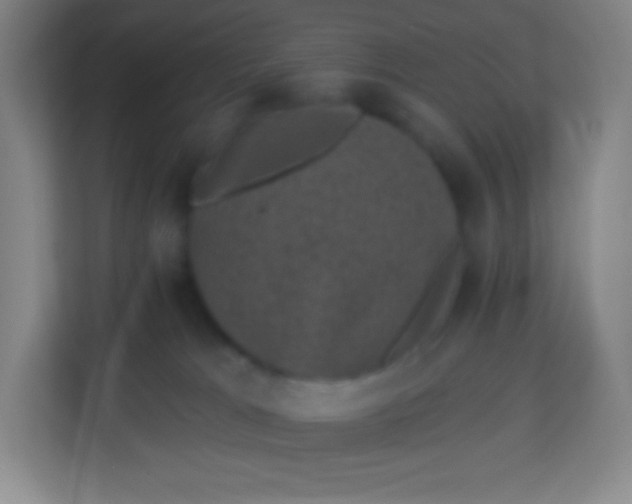 X0000113940037200910091632