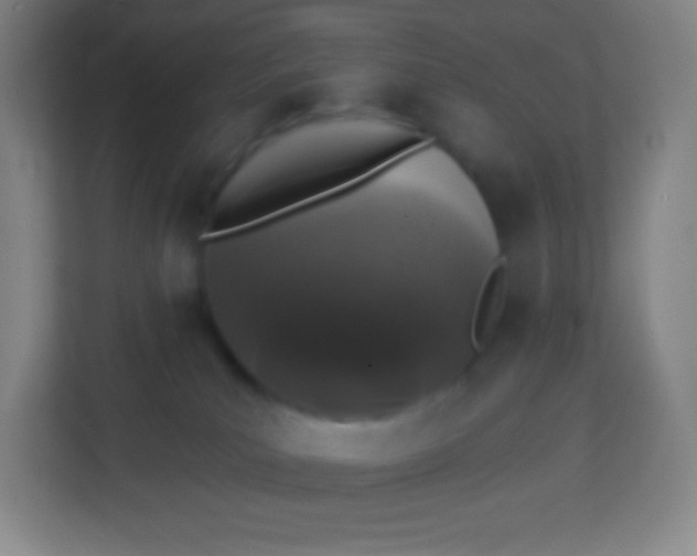 X0000113940039200910091632