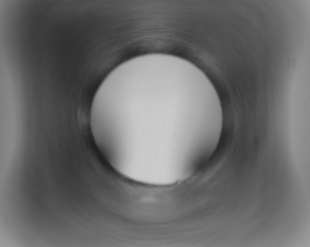 X0000113940040200910091632