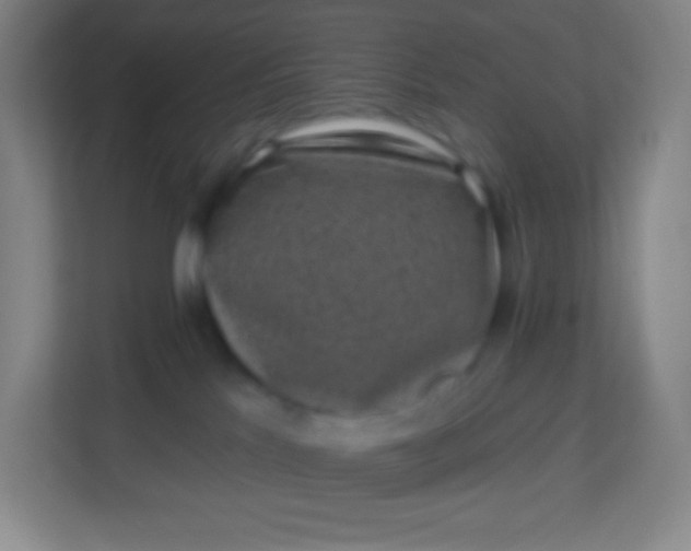 X0000113940041200910091631