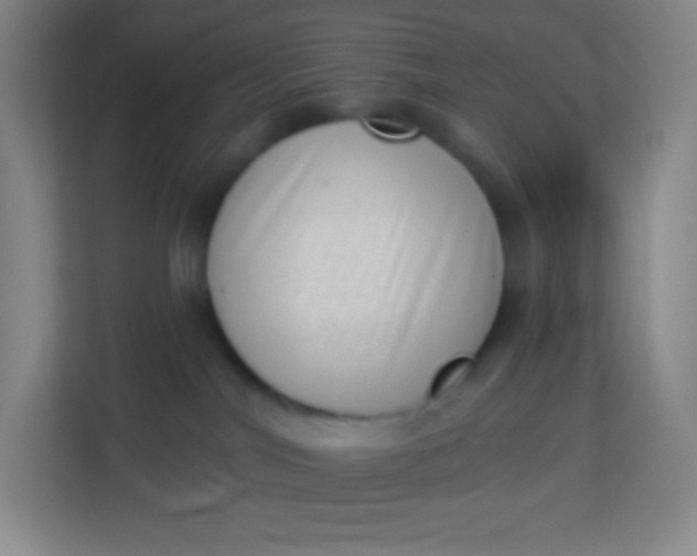 X0000113940044200910091631