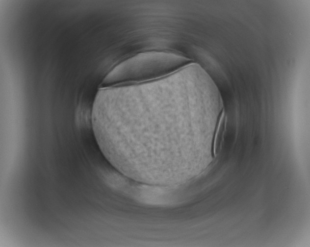 X0000113940045200910091631