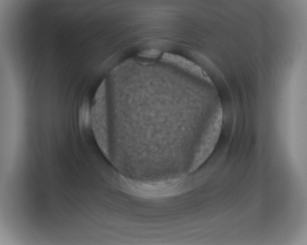 X0000113940046200910091631